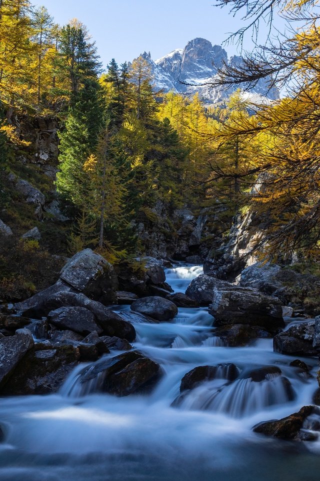 Обои деревья, река, горы, камни, лес, осень, франция, trees, river, mountains, stones, forest, autumn, france разрешение 5184x3456 Загрузить