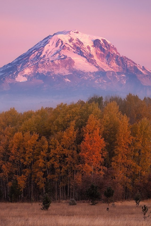 Обои лес, гора, осень, forest, mountain, autumn разрешение 2000x1341 Загрузить