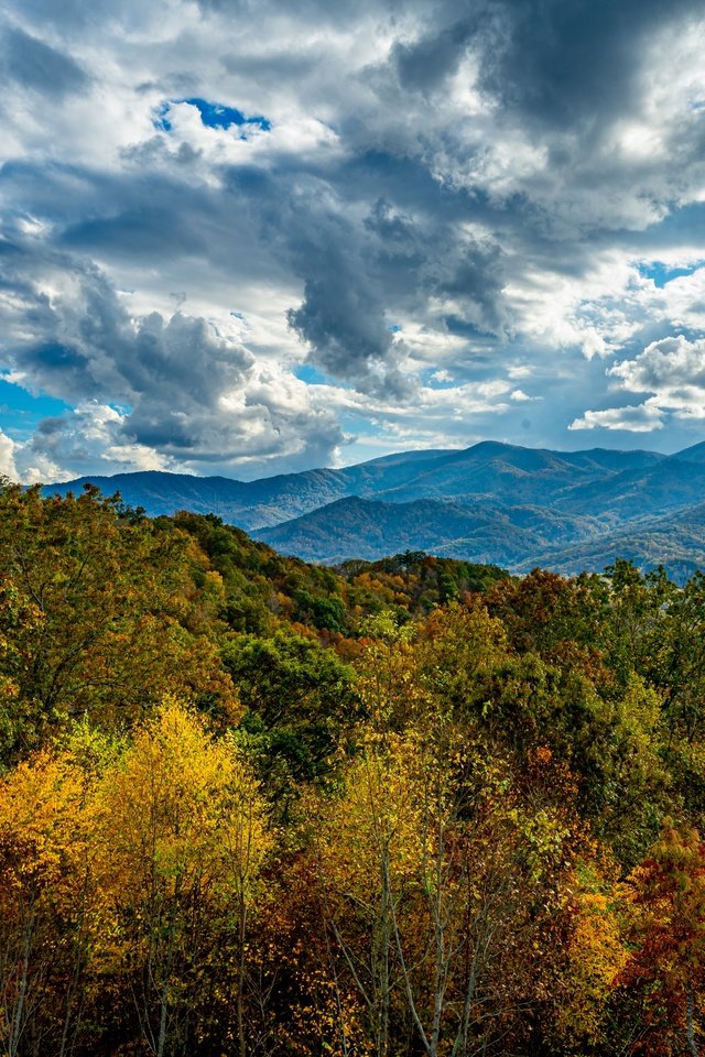 Обои небо, облака, деревья, горы, лес, осень, the sky, clouds, trees, mountains, forest, autumn разрешение 4050x2700 Загрузить