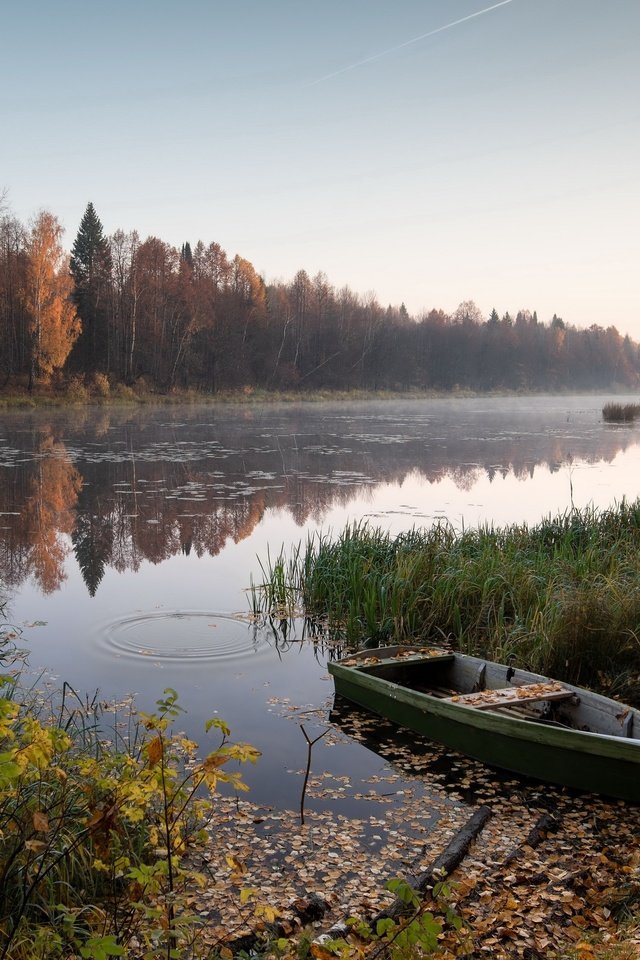 Обои осень, лодка, autumn, boat разрешение 3840x2160 Загрузить