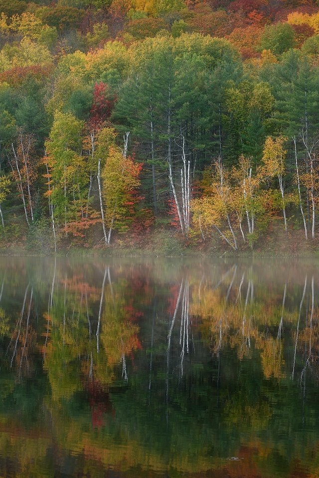 Обои озеро, лес, осень, lake, forest, autumn разрешение 2048x1268 Загрузить