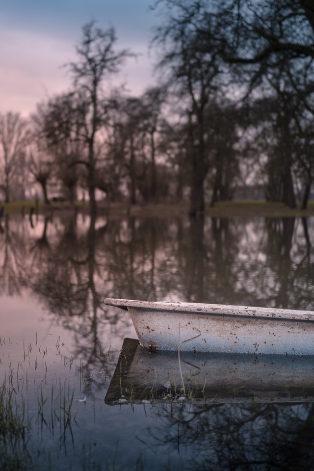 Обои природа, лужа, ванна, nature, puddle, bath разрешение 6819x4551 Загрузить