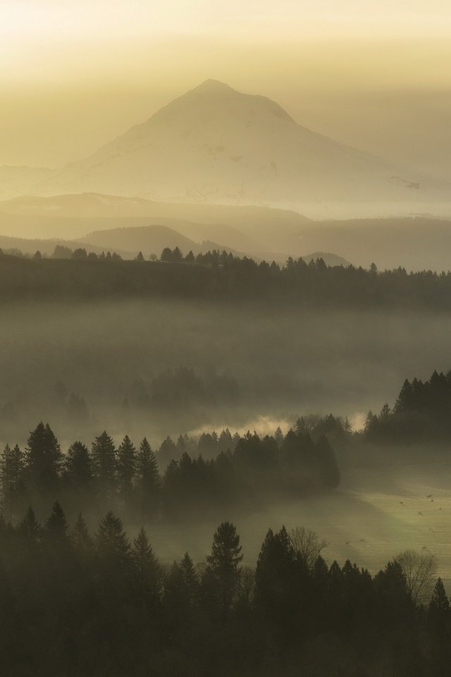 Обои природа, утро, туман, nature, morning, fog разрешение 3840x2160 Загрузить