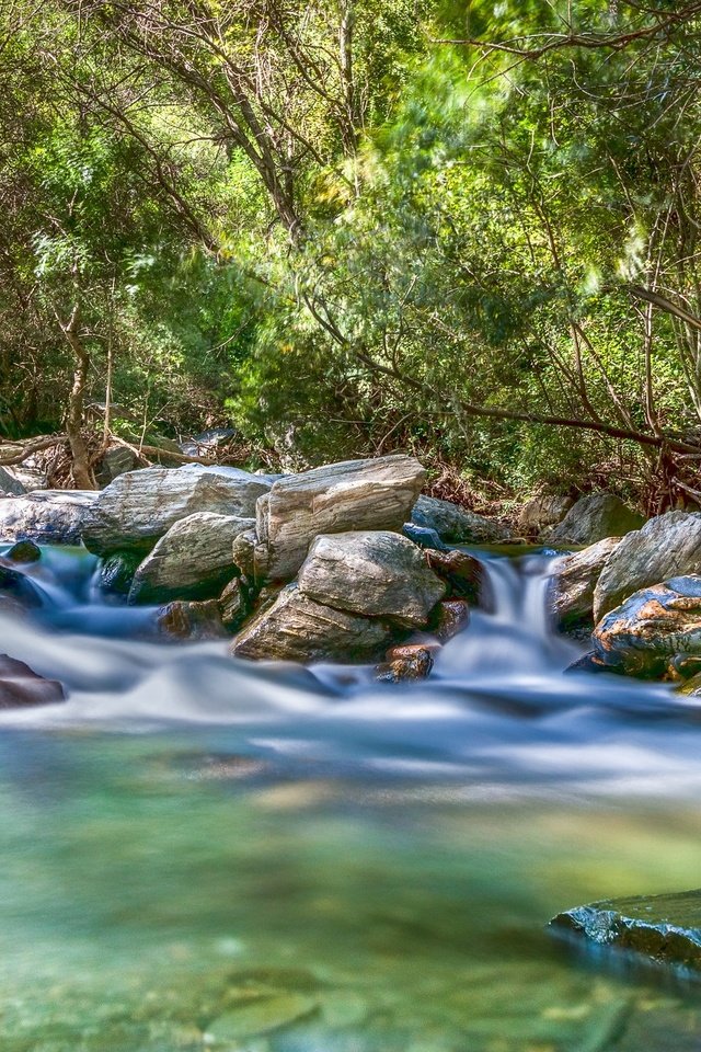 Обои река, камни, лес, поток, river, stones, forest, stream разрешение 2048x1365 Загрузить