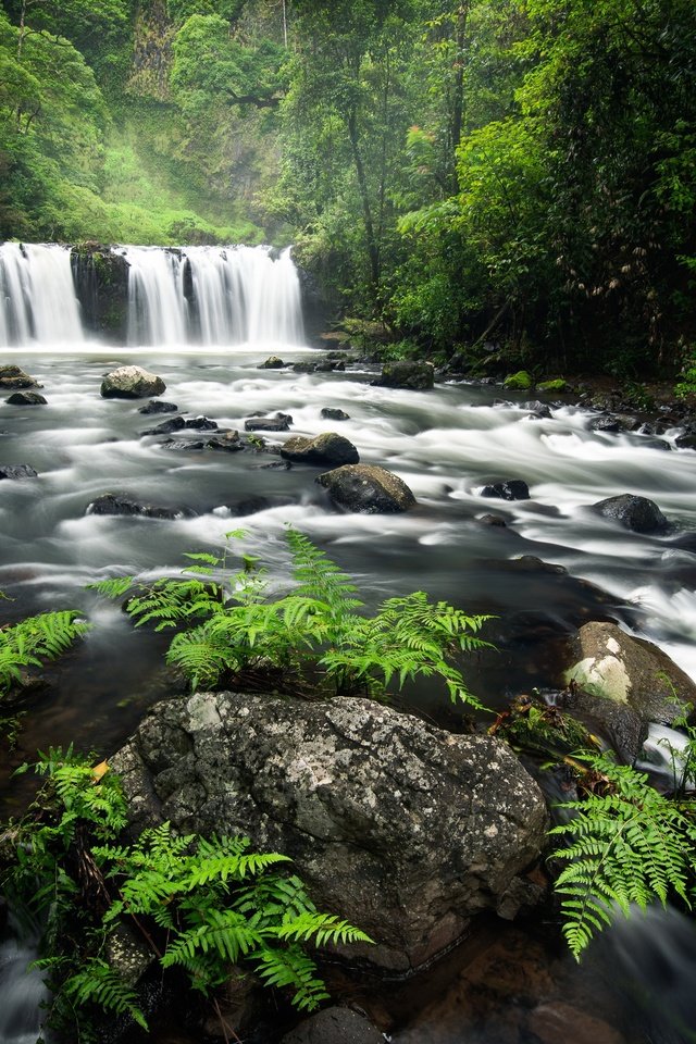 Обои река, лес, водопад, river, forest, waterfall разрешение 2560x1707 Загрузить