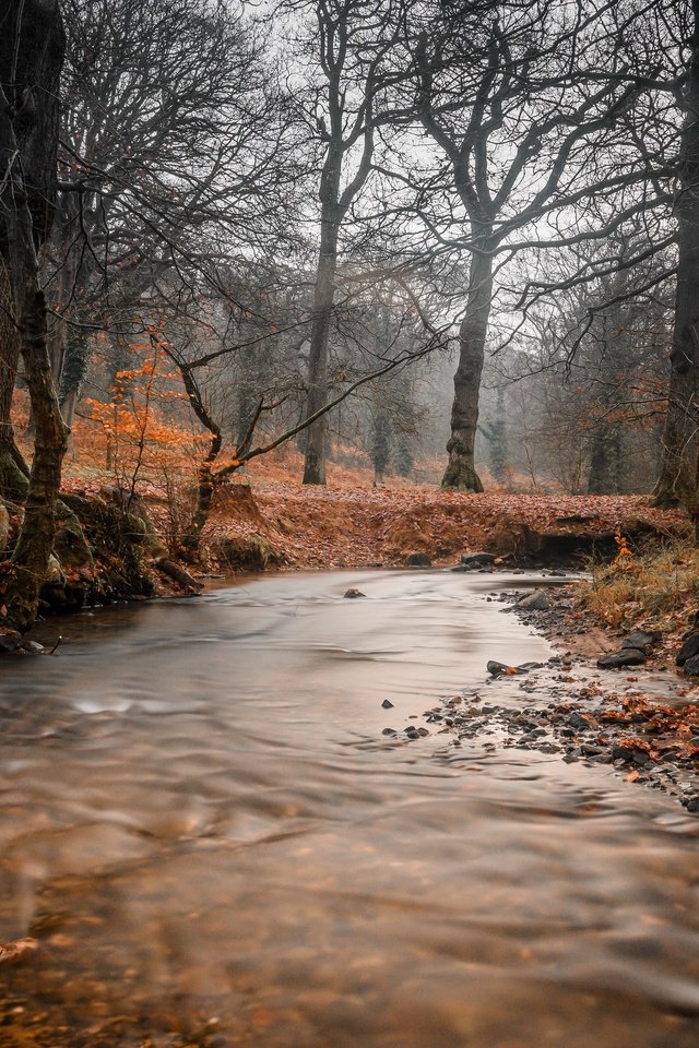 Обои река, природа, river, nature разрешение 3840x2160 Загрузить