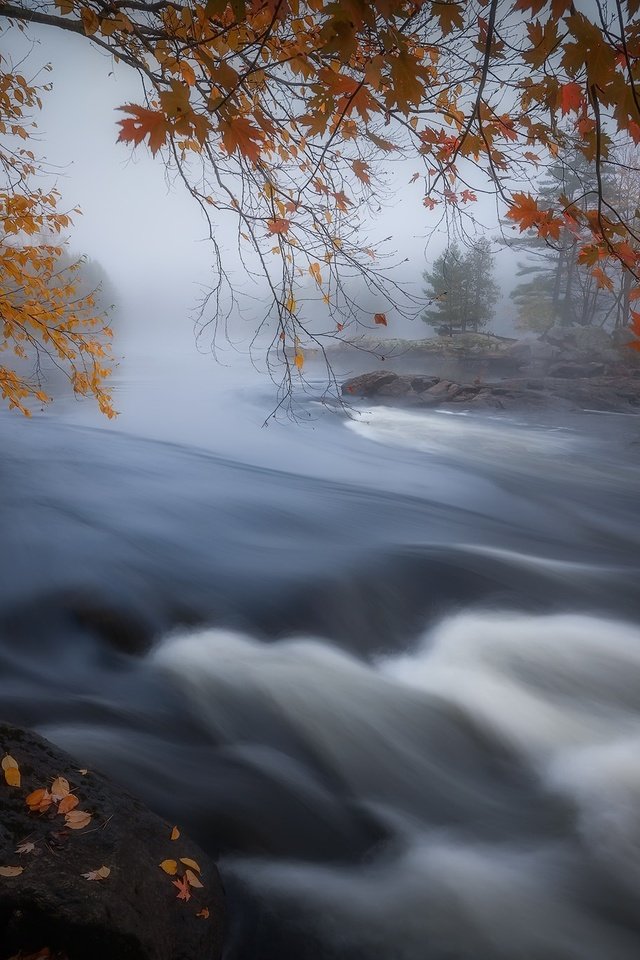 Обои река, туман, осень, канада, онтарио, river, fog, autumn, canada, ontario разрешение 2048x1365 Загрузить