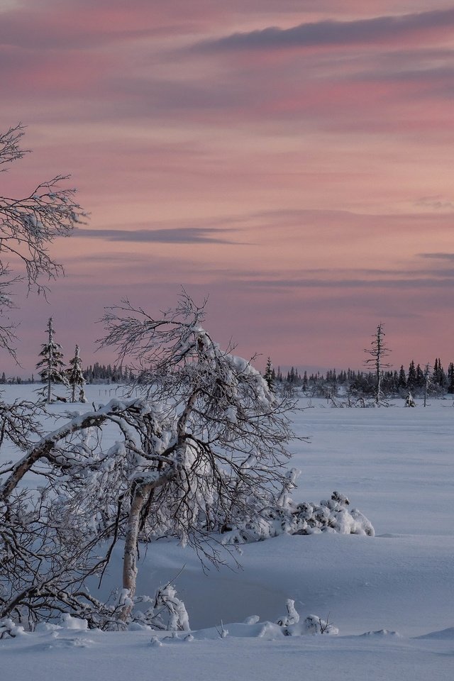 Обои снег, закат, зима, snow, sunset, winter разрешение 3840x2160 Загрузить