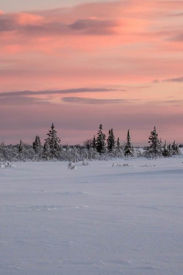 Обои снег, закат, snow, sunset разрешение 3840x2160 Загрузить