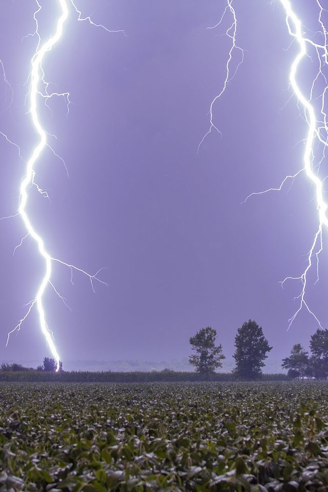 Обои деревья, молния, поле, гроза, trees, lightning, field, the storm разрешение 2048x1365 Загрузить