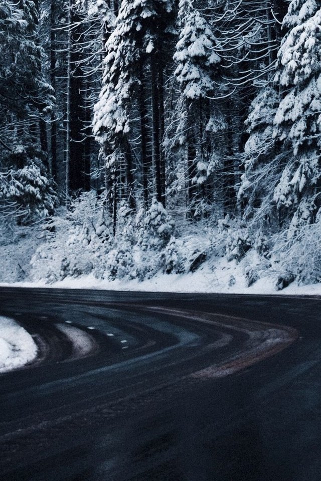 Обои дорога, деревья, снег, зима, road, trees, snow, winter разрешение 1920x1080 Загрузить