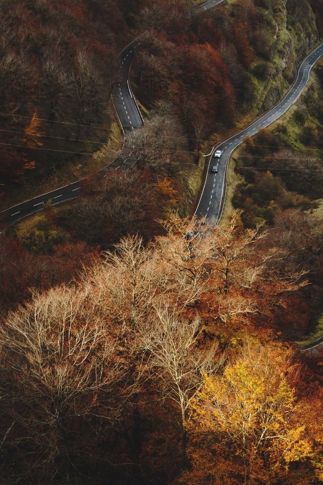 Обои дорога, лес, осень, road, forest, autumn разрешение 2048x1365 Загрузить