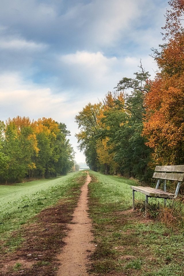 Обои дорога, осень, скамья, road, autumn, bench разрешение 2048x1365 Загрузить