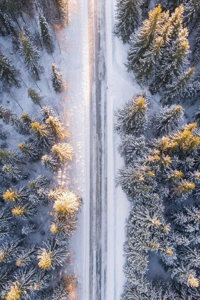 Обои дорога, снег, лес, зима, ели, road, snow, forest, winter, ate разрешение 3840x2160 Загрузить