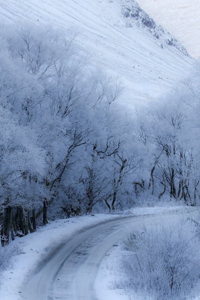 Обои дорога, снег, зима, road, snow, winter разрешение 3840x2160 Загрузить