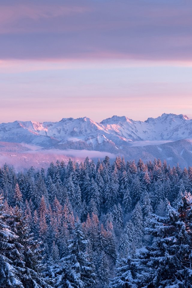 Обои небо, зима, облака, франция, деревья, горы, скалы, снег, природа, лес, the sky, winter, clouds, france, trees, mountains, rocks, snow, nature, forest разрешение 5120x2880 Загрузить