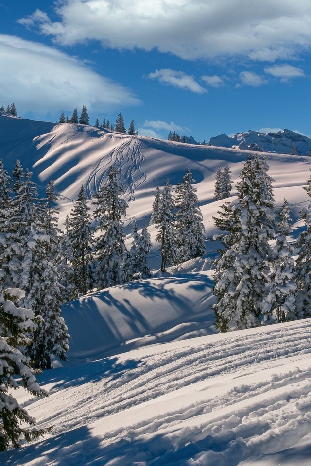 Обои облака, горы, снег, лес, зима, склоны, ели, лыжня, clouds, mountains, snow, forest, winter, the slopes, ate, trails разрешение 3000x1974 Загрузить