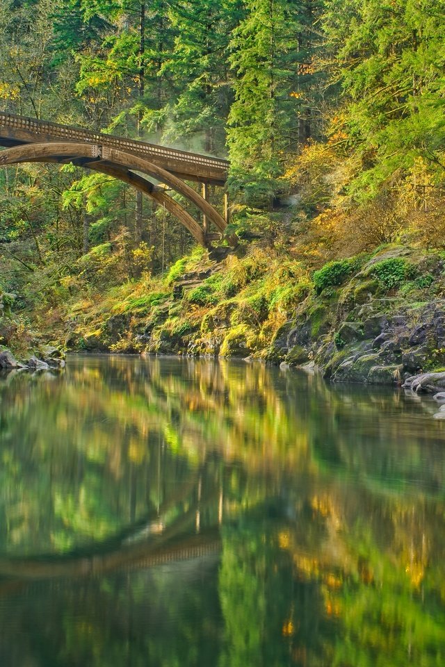 Обои река, лес, мост, штат вашингтон, lewis river, river, forest, bridge, washington разрешение 3600x2700 Загрузить