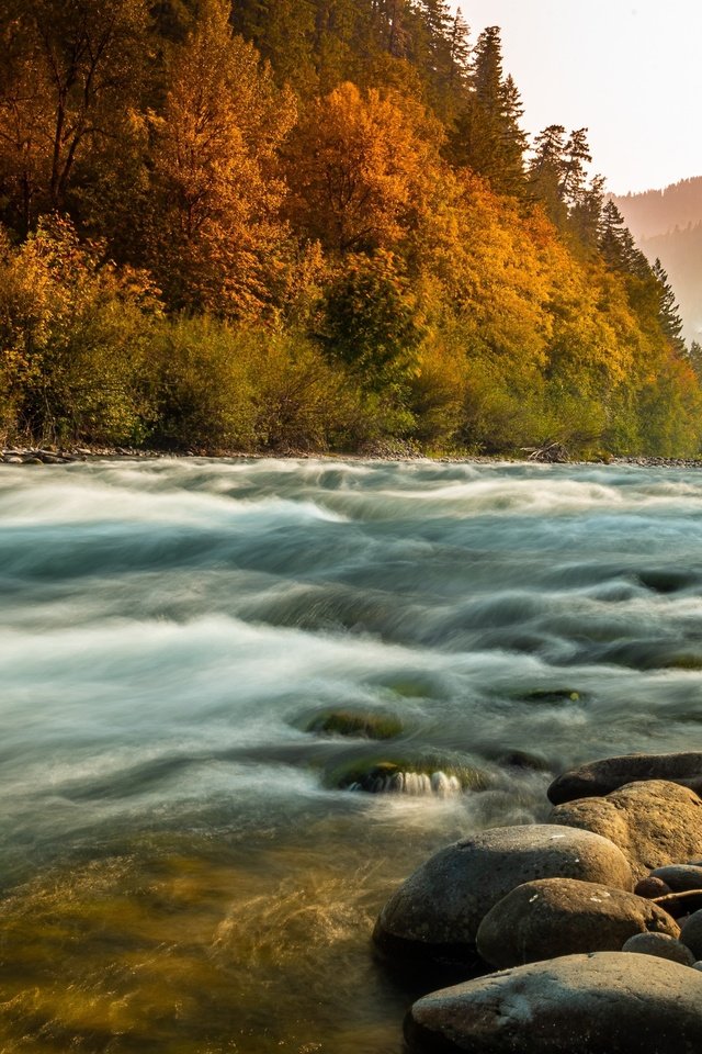 Обои река, природа, камни, лес, пейзаж, туман, осень, берега, river, nature, stones, forest, landscape, fog, autumn, bank разрешение 3000x1776 Загрузить