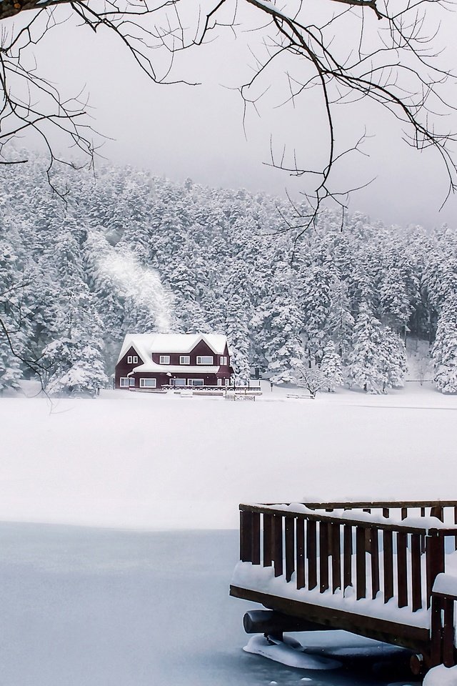 Обои снег, лес, зима, дом, турция, snow, forest, winter, house, turkey разрешение 3000x2000 Загрузить