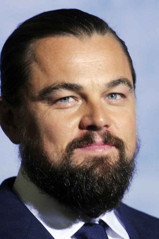 Обои леонардо ди каприо, leonardo dicaprio разрешение 3916x2429 Загрузить