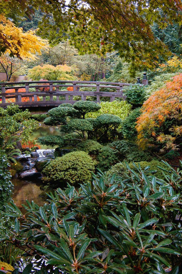 Обои природа, ручей, кусты, мост, сад, сша, японский сад, portland japanese garden, nature, stream, the bushes, bridge, garden, usa, japanese garden разрешение 3957x2507 Загрузить