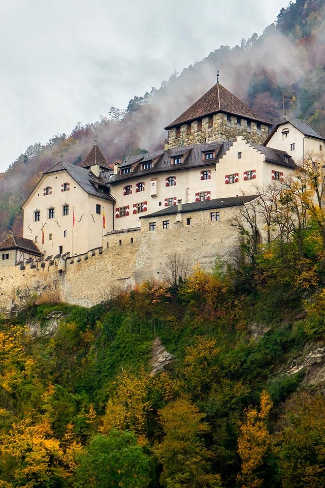 Обои лес, замок, осень, архитектура, холм, forest, castle, autumn, architecture, hill разрешение 3840x2160 Загрузить