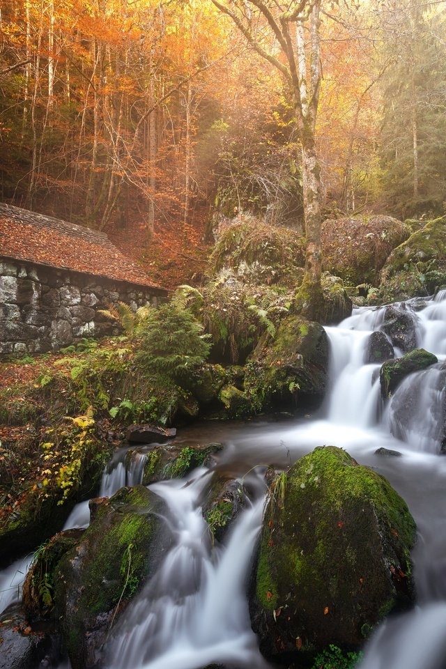 Обои река, лес, водопад, осень, дом, франция, водяная мельница, каскад, river, forest, waterfall, autumn, house, france, water mill, cascade разрешение 3840x2560 Загрузить