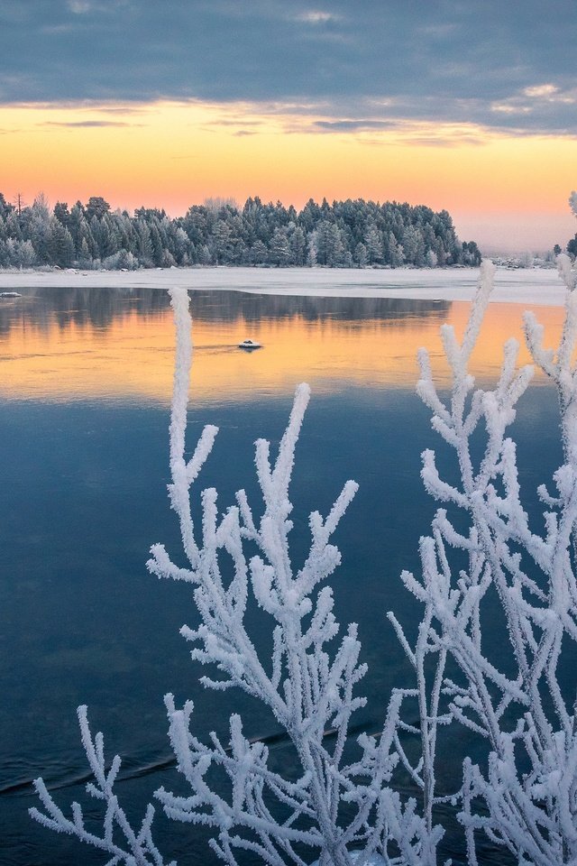 Обои озеро, ветки, иней, осень, швеция, ноябрь, лапландия, изморозь, lake, branches, frost, autumn, sweden, november, lapland разрешение 2048x1362 Загрузить