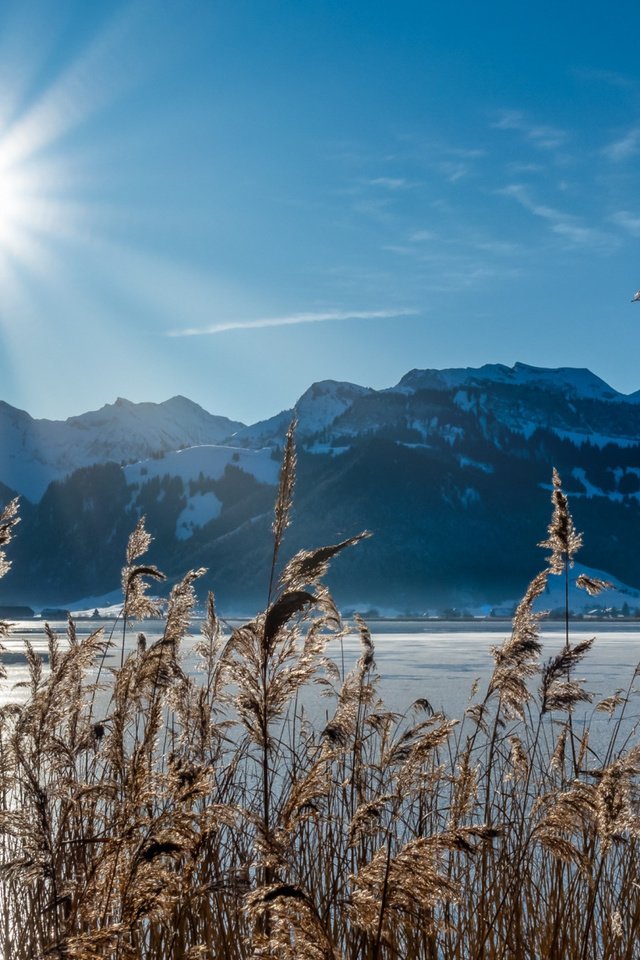 Обои трава, озеро, горы, солнце, природа, лучи, пейзаж, швейцария, grass, lake, mountains, the sun, nature, rays, landscape, switzerland разрешение 2112x1188 Загрузить