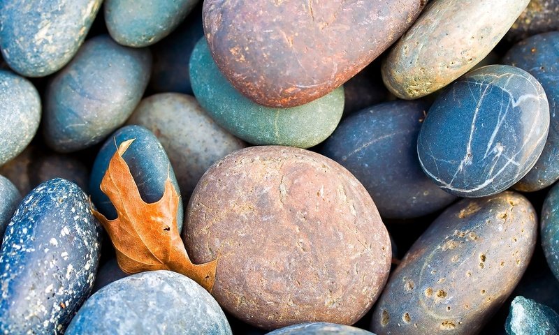 Обои камни, галька, лист, опавший, stones, pebbles, sheet, fallen разрешение 1920x1178 Загрузить