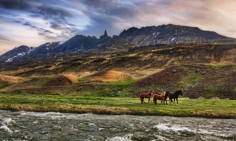 Обои облака, река, горы, лошади, clouds, river, mountains, horse разрешение 2560x1600 Загрузить