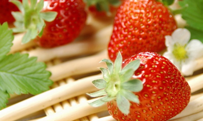 Обои ягода, еда, клубника, витамины, berry, food, strawberry, vitamins разрешение 1920x1200 Загрузить