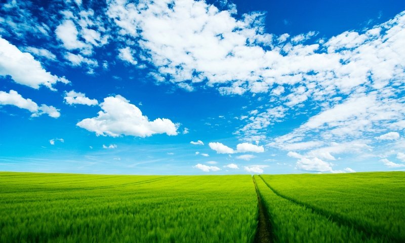 Обои небо, дорога, облака, поле, the sky, road, clouds, field разрешение 2560x1600 Загрузить