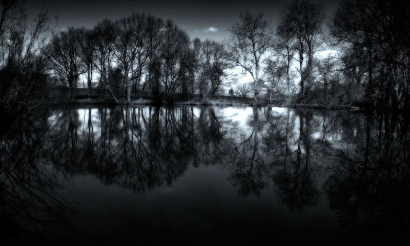 Обои ночь, деревья, вода, обои, фото, пейзажи, night, trees, water, wallpaper, photo, landscapes разрешение 1920x1200 Загрузить