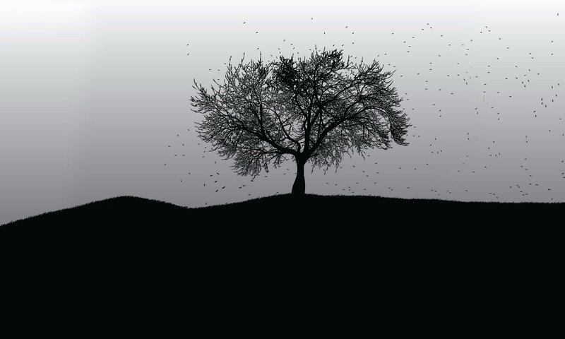 Обои дерево, вектор, черно-белая, tree, vector, black and white разрешение 1920x1200 Загрузить