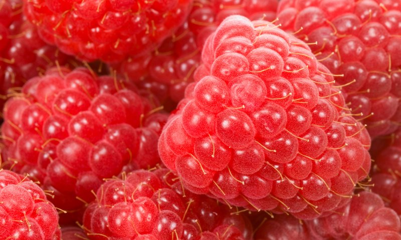 Обои макро, малина, качество, ягоды, macro, raspberry, quality, berries разрешение 7404x4828 Загрузить