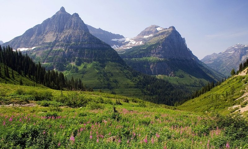 Обои горы, лес, луг, mountains, forest, meadow разрешение 1920x1200 Загрузить