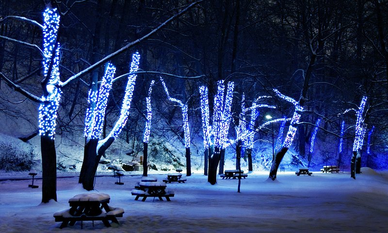 Обои деревья, снег, зима, иллюминация, праздник, рождественские огни, trees, snow, winter, illumination, holiday разрешение 2048x1365 Загрузить