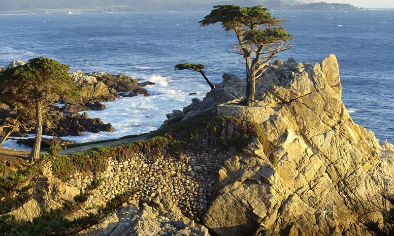 Обои деревья, скалы, побережье, trees, rocks, coast разрешение 1999x1333 Загрузить