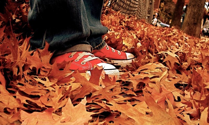 Обои листья, осень, кеды, джинсы, ноги, listya, osen, kedy, осенние листья, leaves, autumn, sneakers, jeans, feet, autumn leaves разрешение 1920x1440 Загрузить