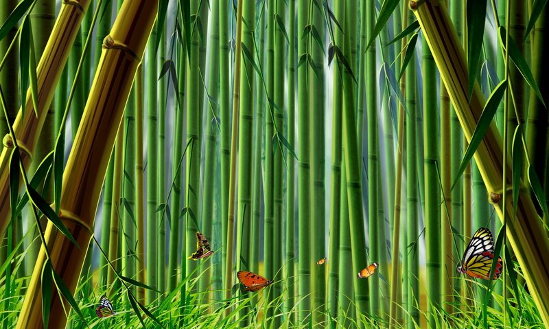 Обои трава, бамбук, бабочки, grass, bamboo, butterfly разрешение 2400x1565 Загрузить