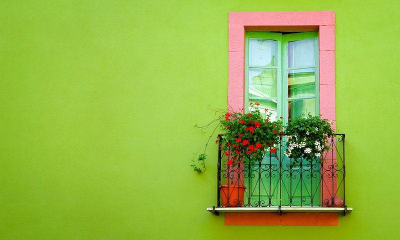 Обои зелёный, стена, окно, балкон, green, wall, window, balcony разрешение 2560x1600 Загрузить