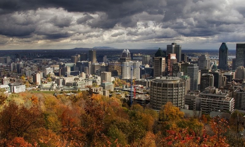 Обои деревья, город, осень, trees, the city, autumn разрешение 1920x1440 Загрузить