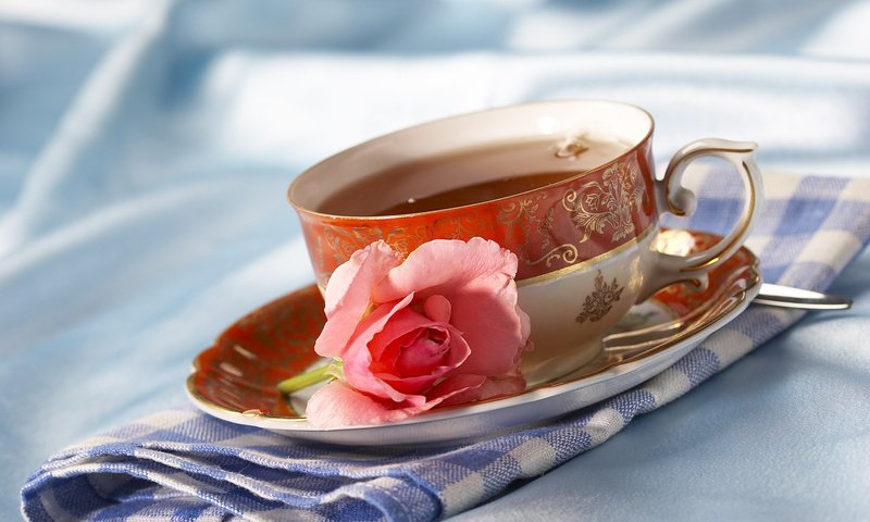 Обои цветок, роза, чашка, чай, салфетка, чаепитие, flower, rose, cup, tea, napkin, the tea party разрешение 1920x1200 Загрузить