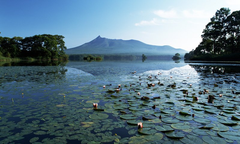 Обои озеро, горы, тишина, лилии, lake, mountains, silence, lily разрешение 1920x1200 Загрузить