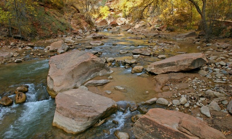 Обои деревья, вода, река, камни, поток, trees, water, river, stones, stream разрешение 1920x1200 Загрузить