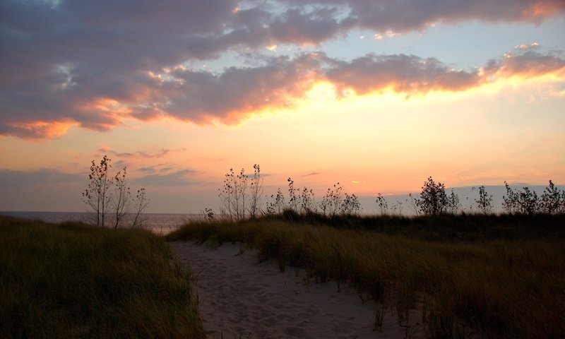 Обои трава, облака, берег, песок, тропа, grass, clouds, shore, sand, trail разрешение 1920x1200 Загрузить