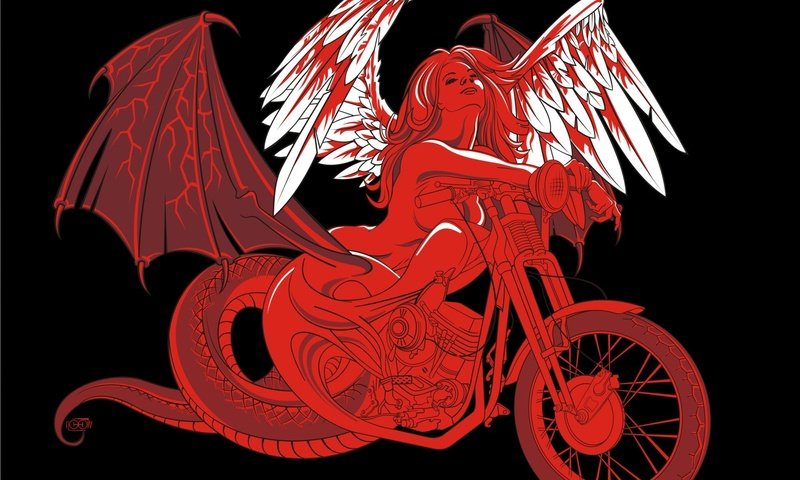 Обои девушка, вектор, крылья, мотоцикл, girl, vector, wings, motorcycle разрешение 1920x1440 Загрузить