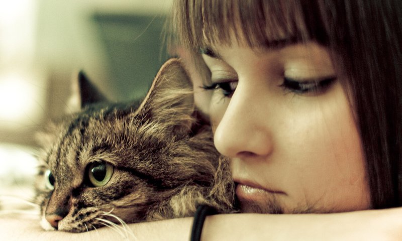 Обои девушка, портрет, кошка, взгляд, лицо, печаль, girl, portrait, cat, look, face, sadness разрешение 1920x1200 Загрузить